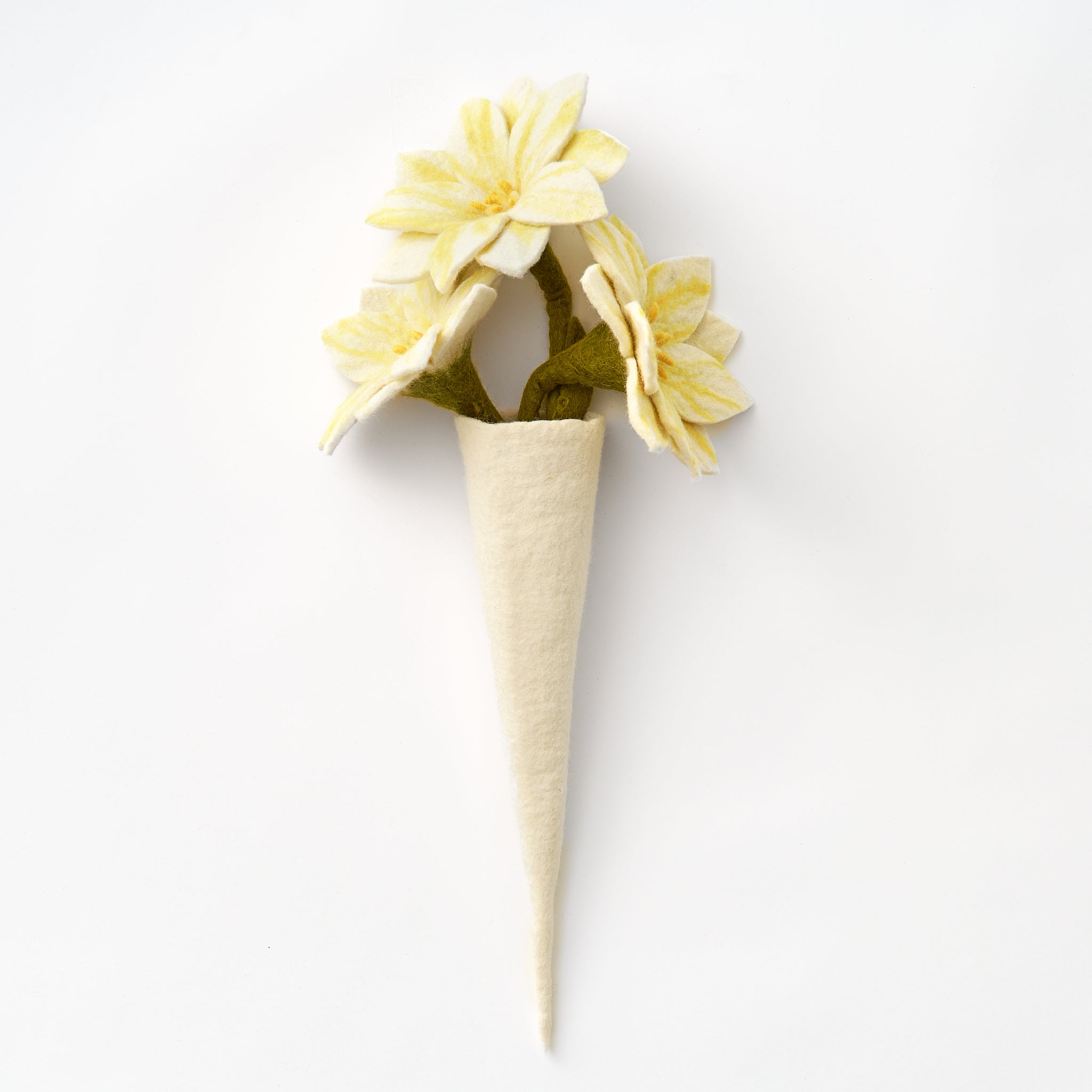 Felt Hanging Wall Vase