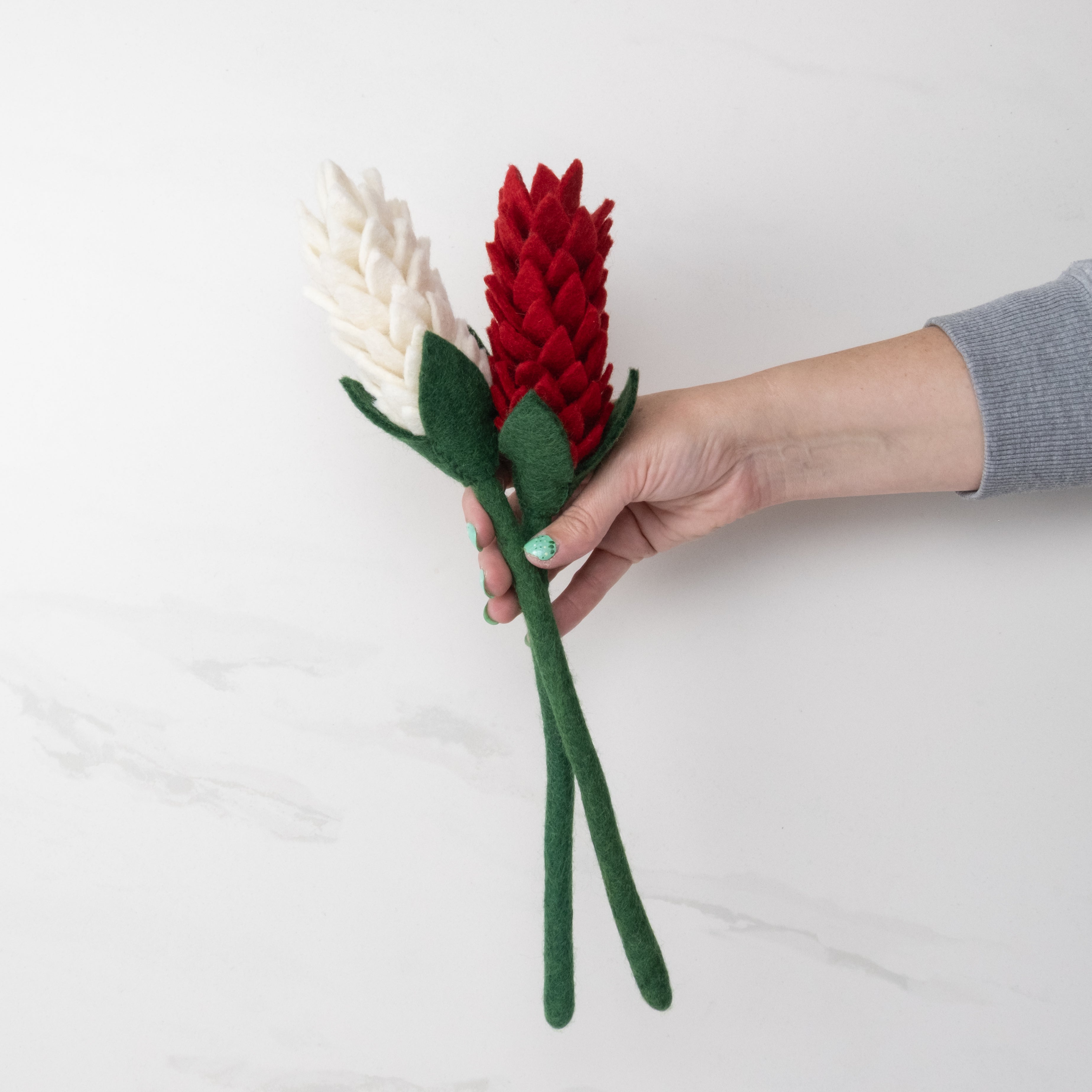 Felt Alpinia