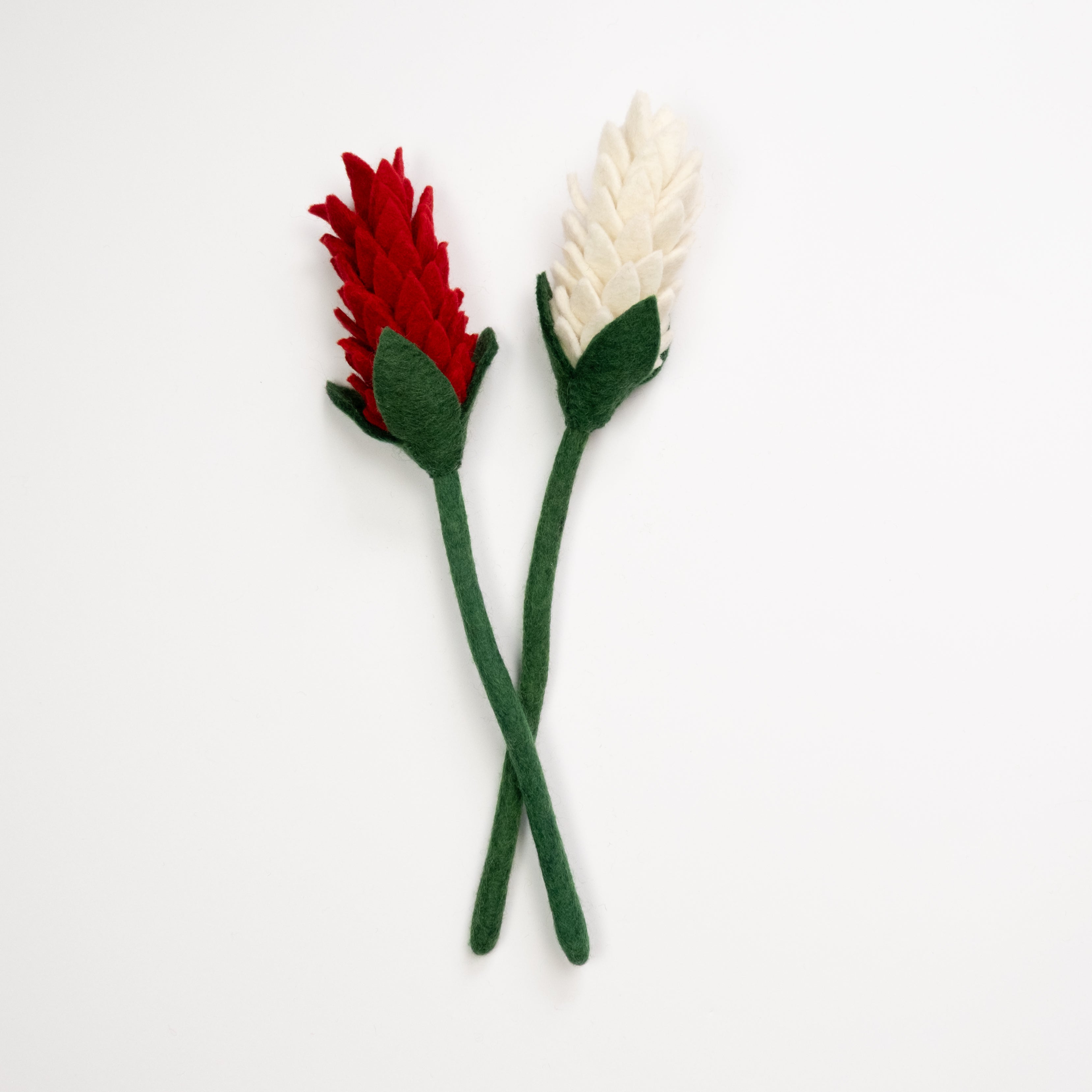 Felt Alpinia