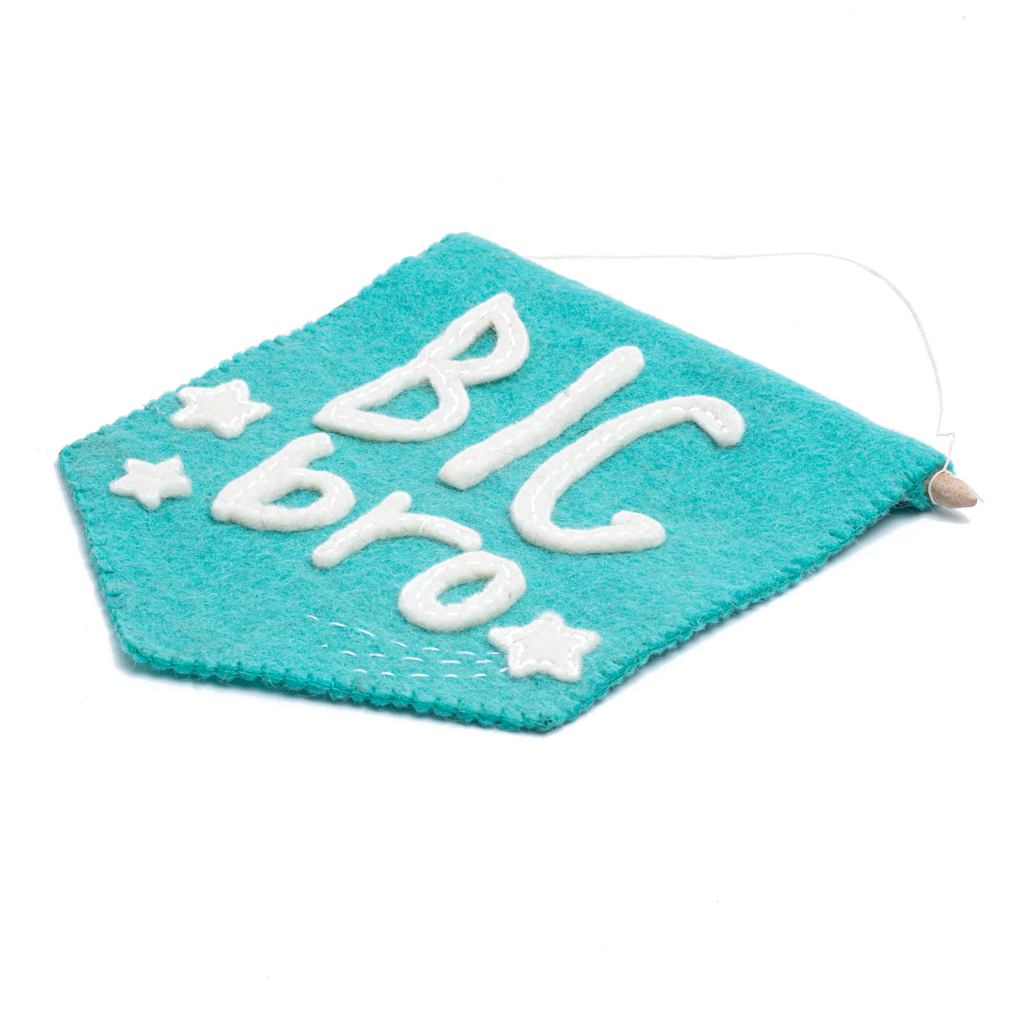 Felt Big Bro Banner Flag