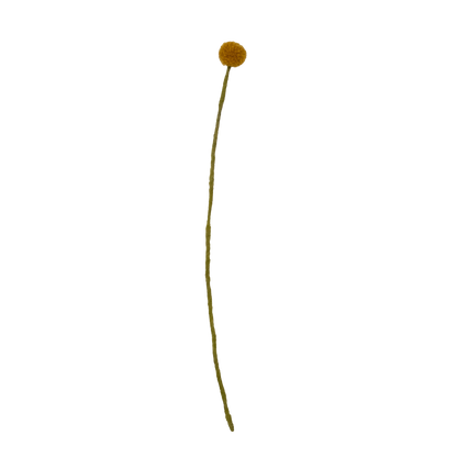 Felt Craspedia Stem