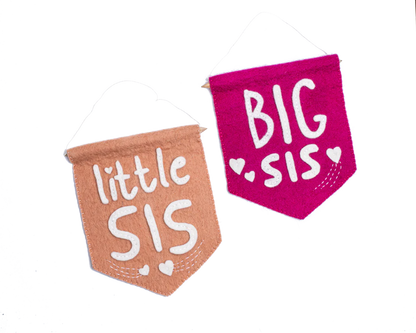 Felt Little Sis Banner Flag