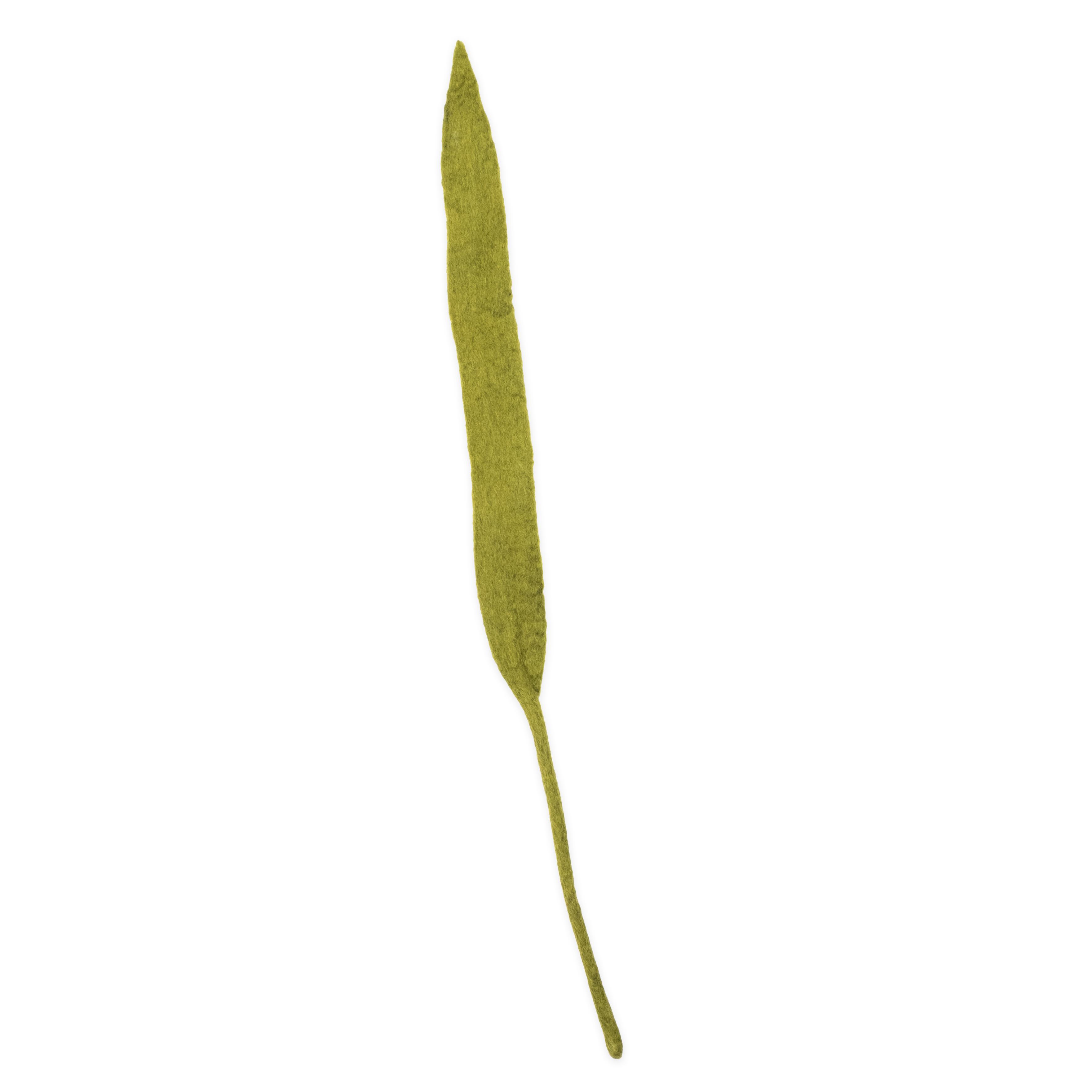 Felt Long Leaf