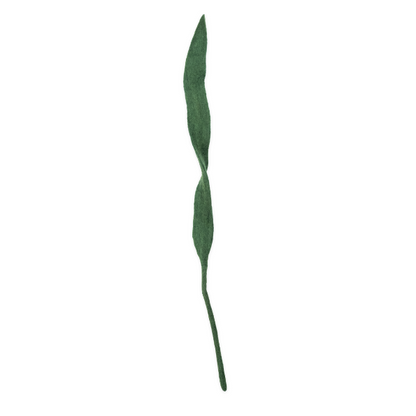 Felt Long Leaf