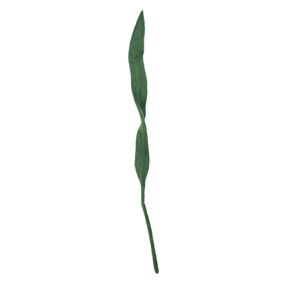 Felt Long Leaf