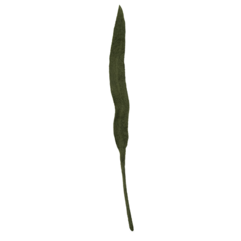 Felt Long Leaf
