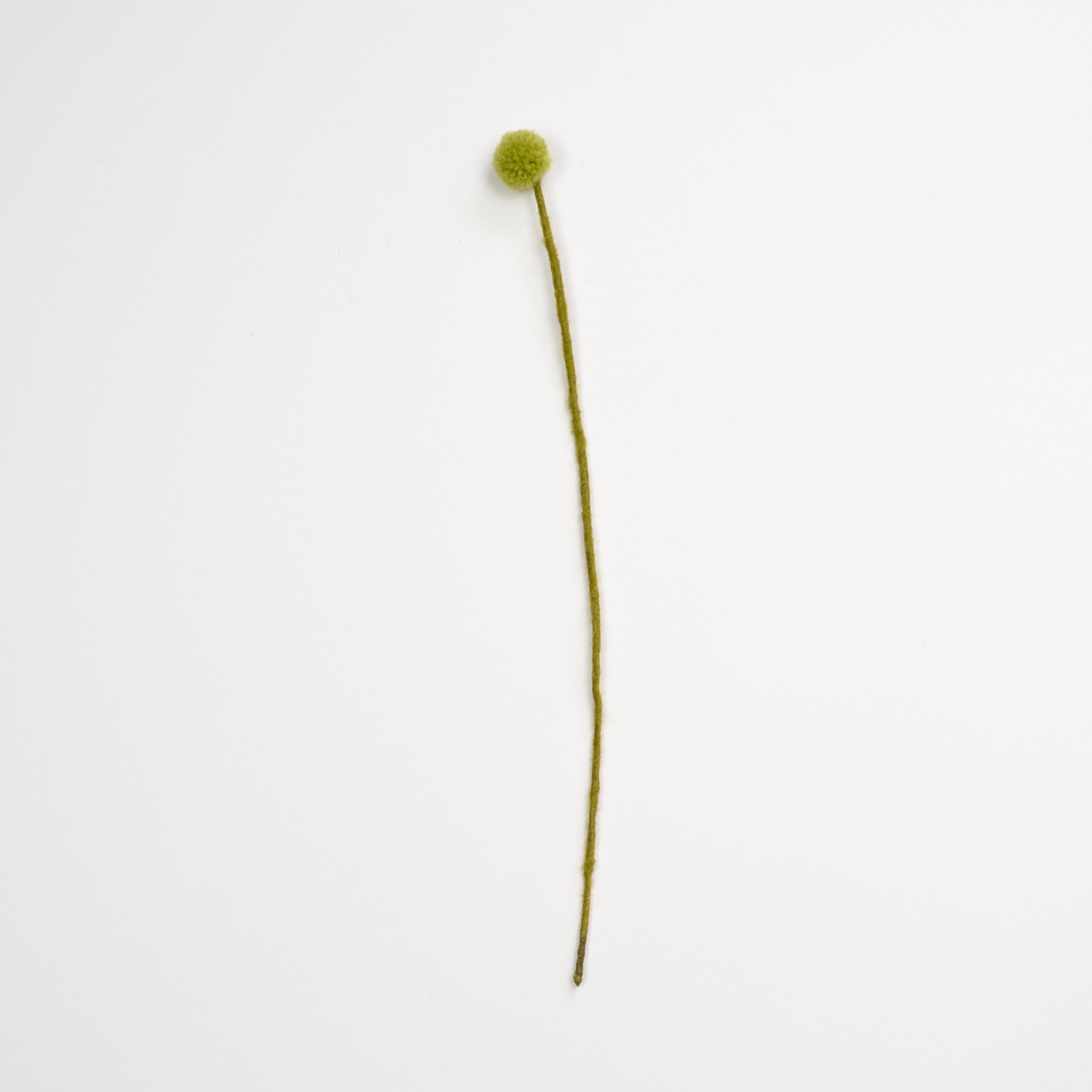 Felt Craspedia Stem