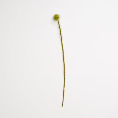 Felt Craspedia Stem