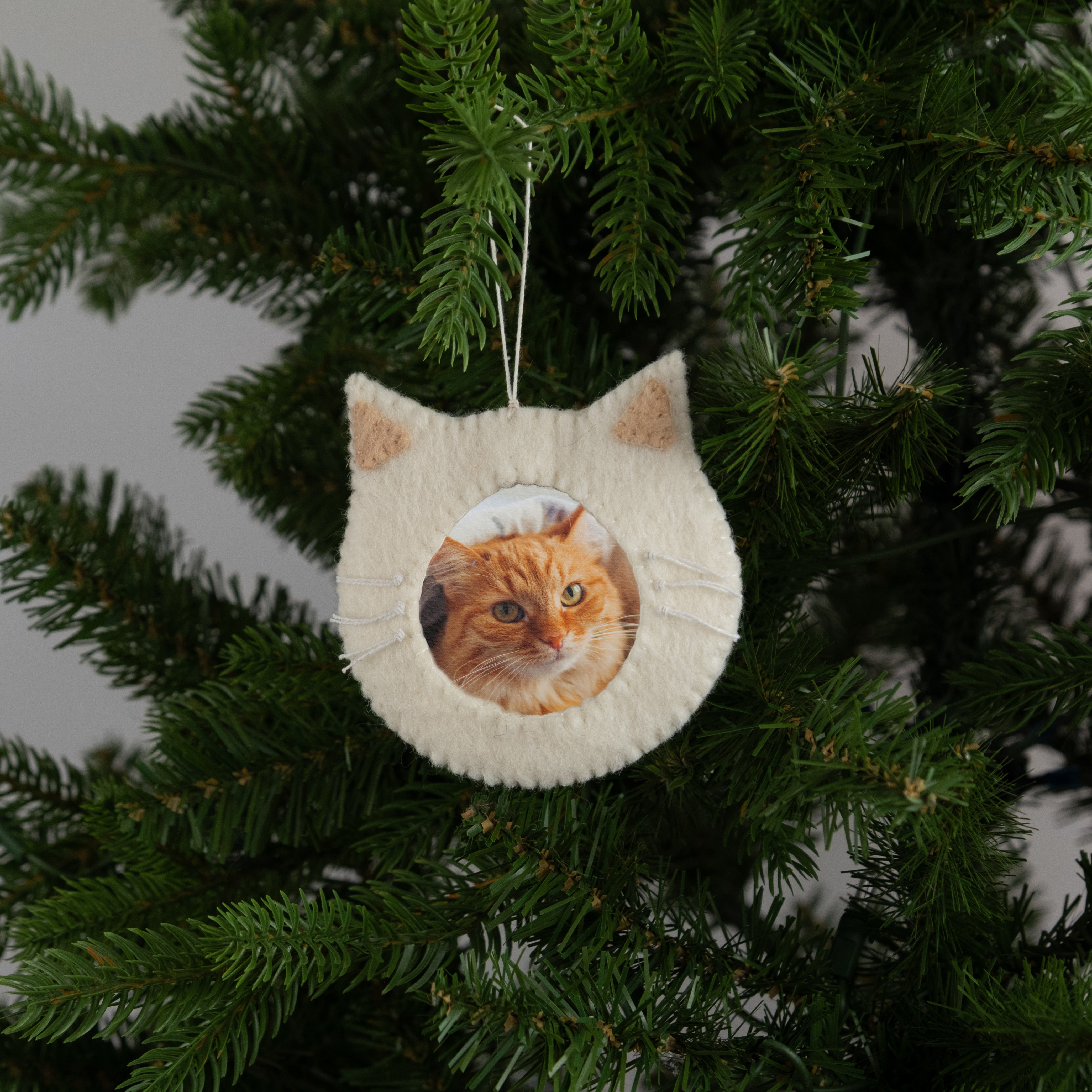 Felt Cat Frame Ornament