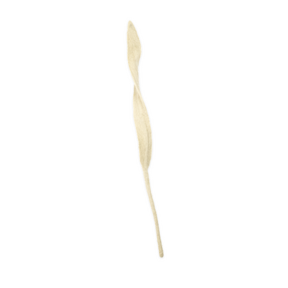 Felt Long Leaf
