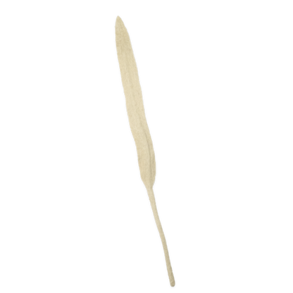 Felt Long Leaf