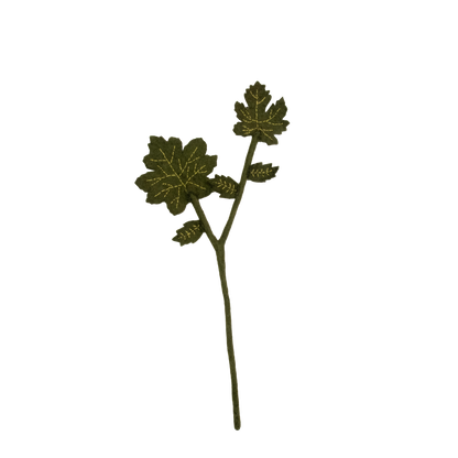 Felt Maple Leaf