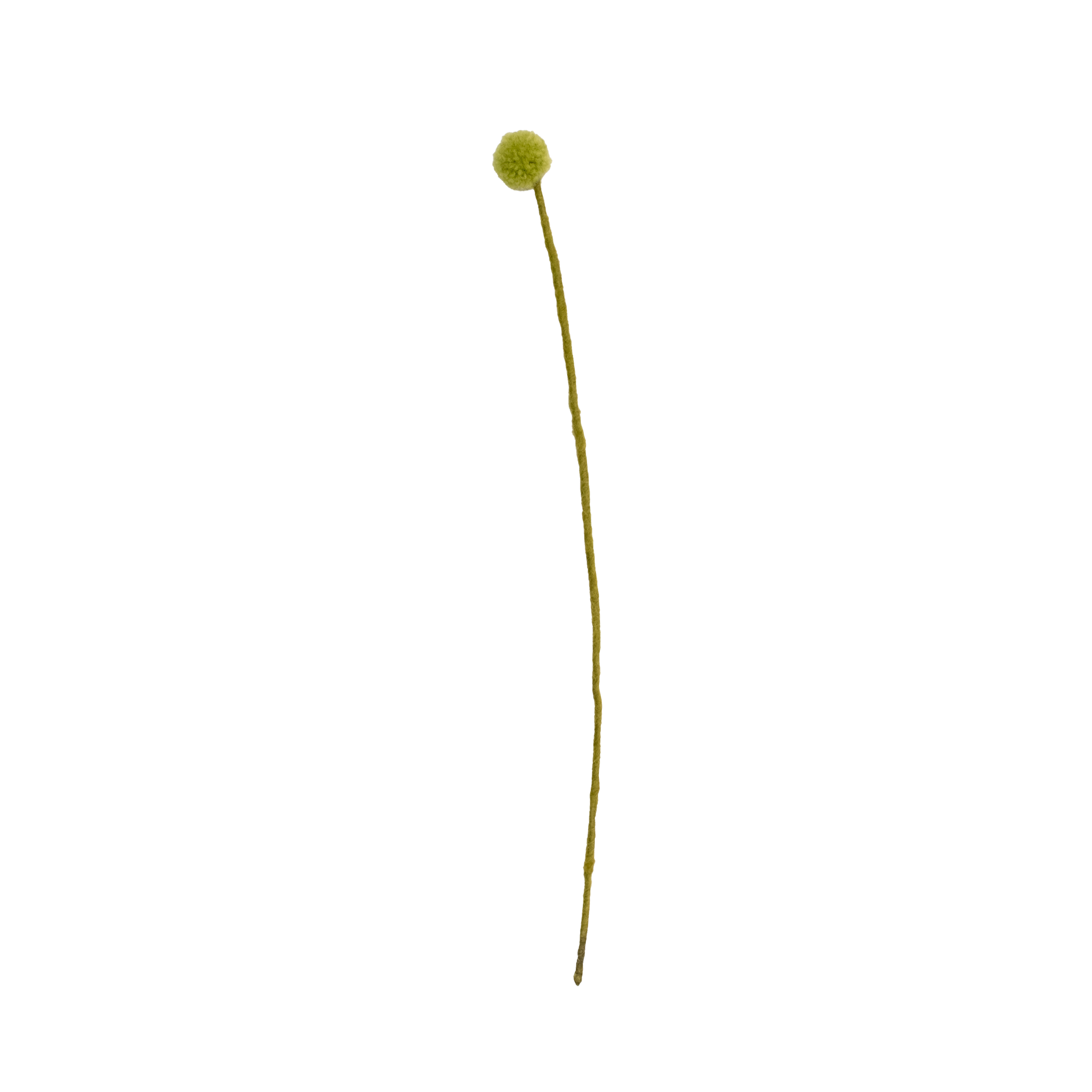 Felt Craspedia Stem