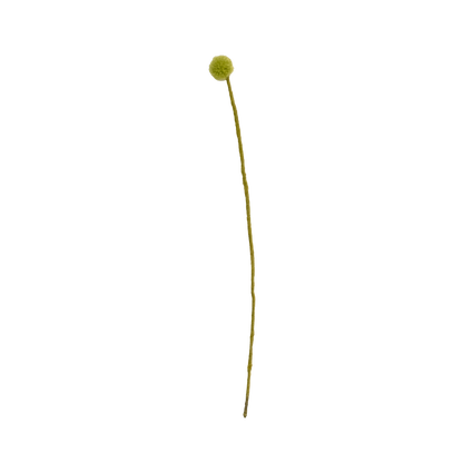 Felt Craspedia Stem
