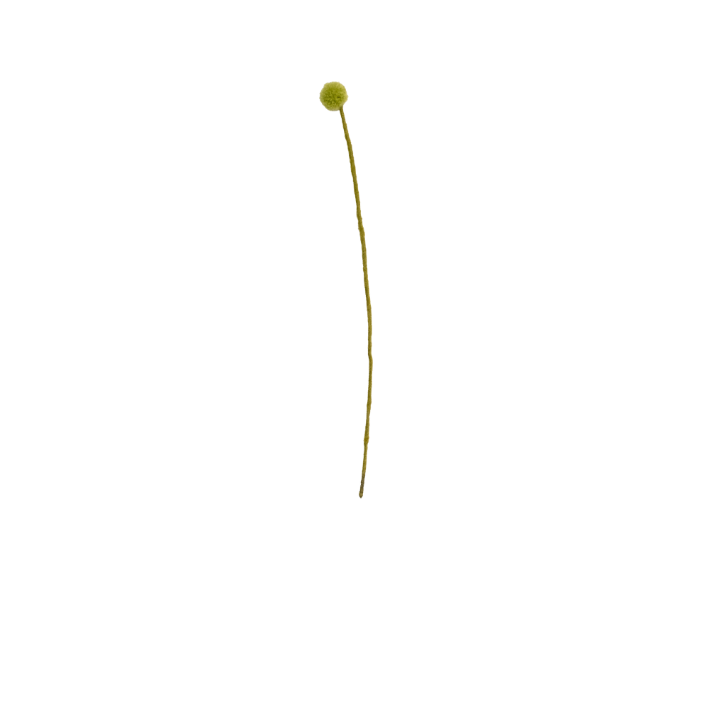 Felt Craspedia Stem