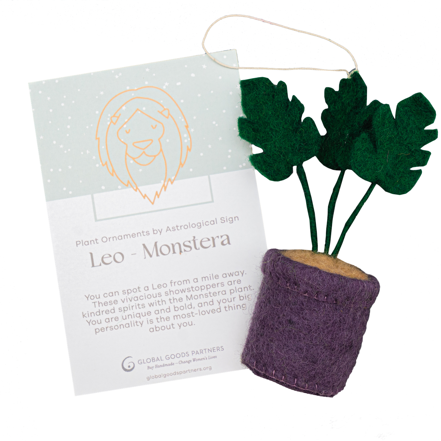 Plant Ornament Astrology Signs With Card