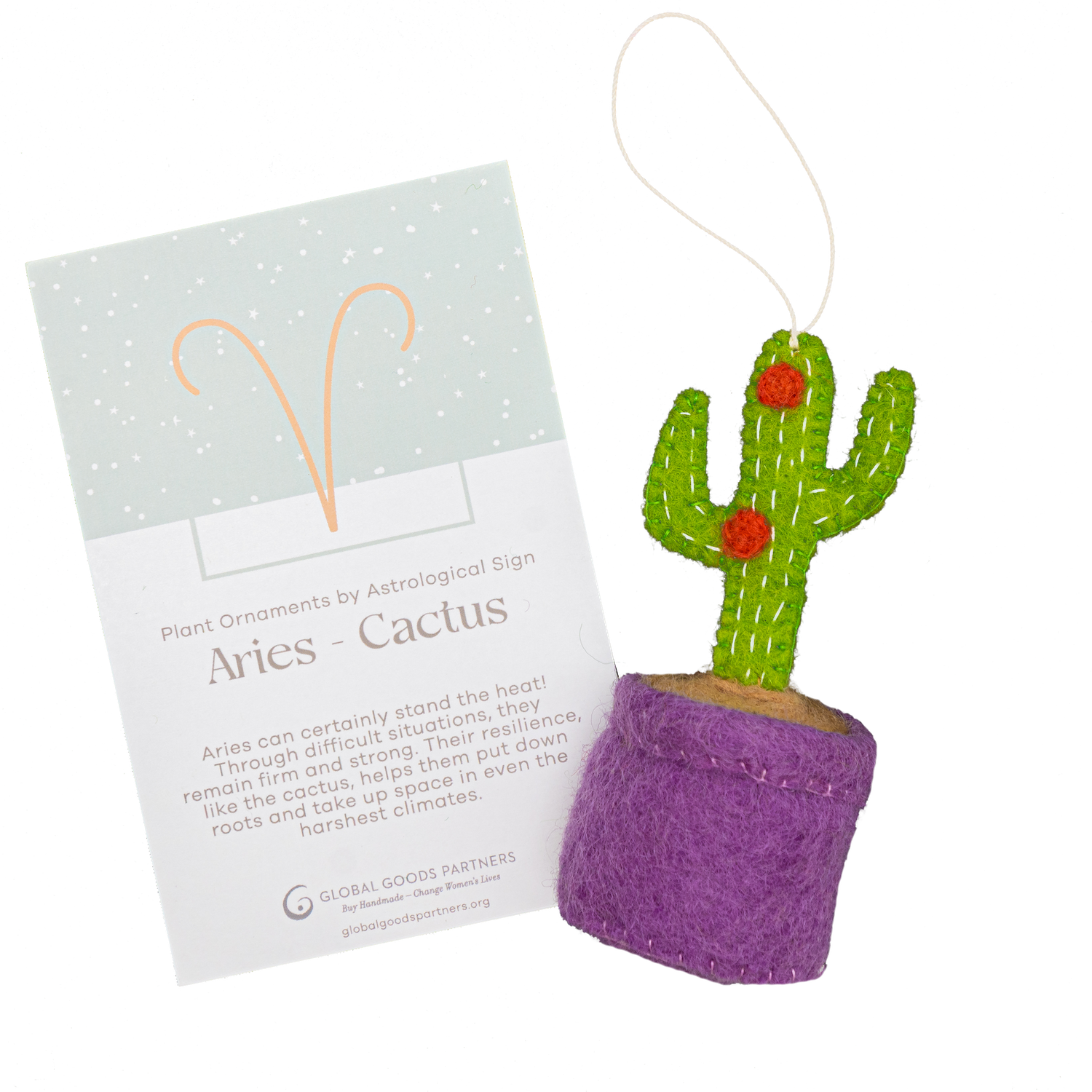 Plant Ornament Astrology Signs With Card