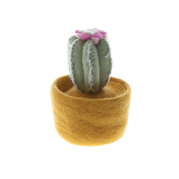 Felt Cactus Pots