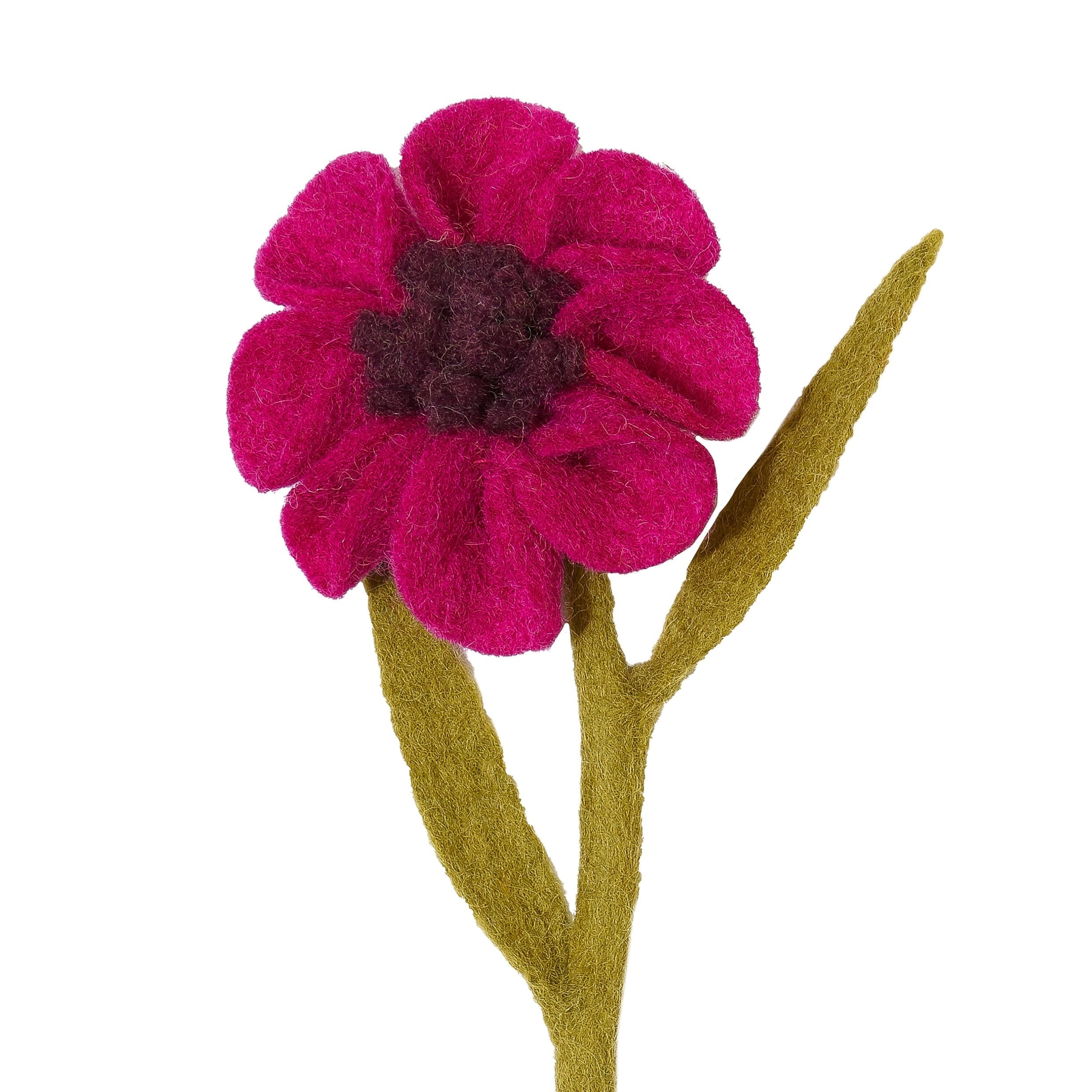 Felt Anemone