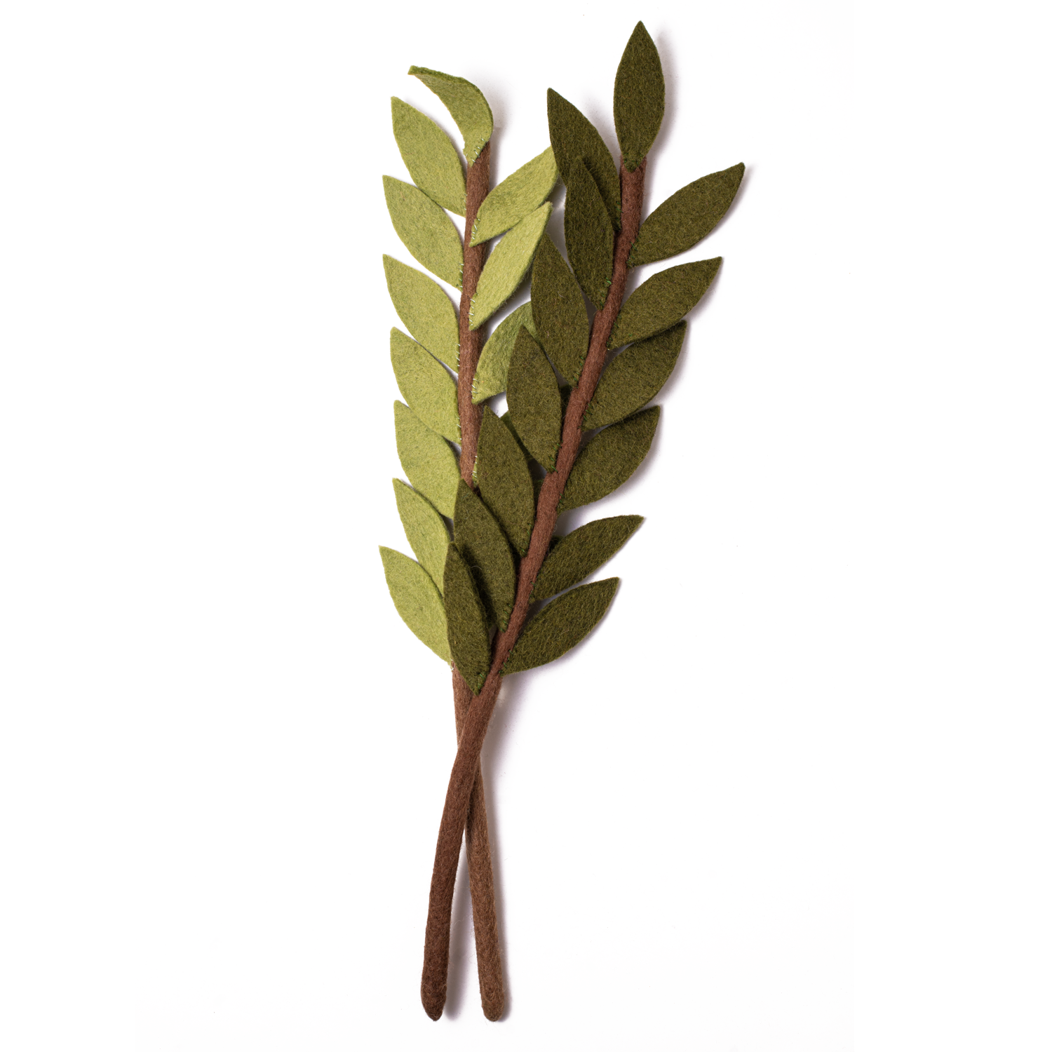 Felt Olive Branch