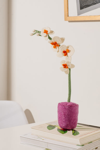 Felt Orchid Pot